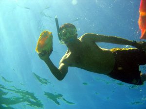 Goff's Caye Snorkeling