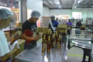 Belize rum tasting and rum factory tour
