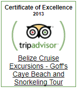 Trip Advisor Goffs Caye 2013